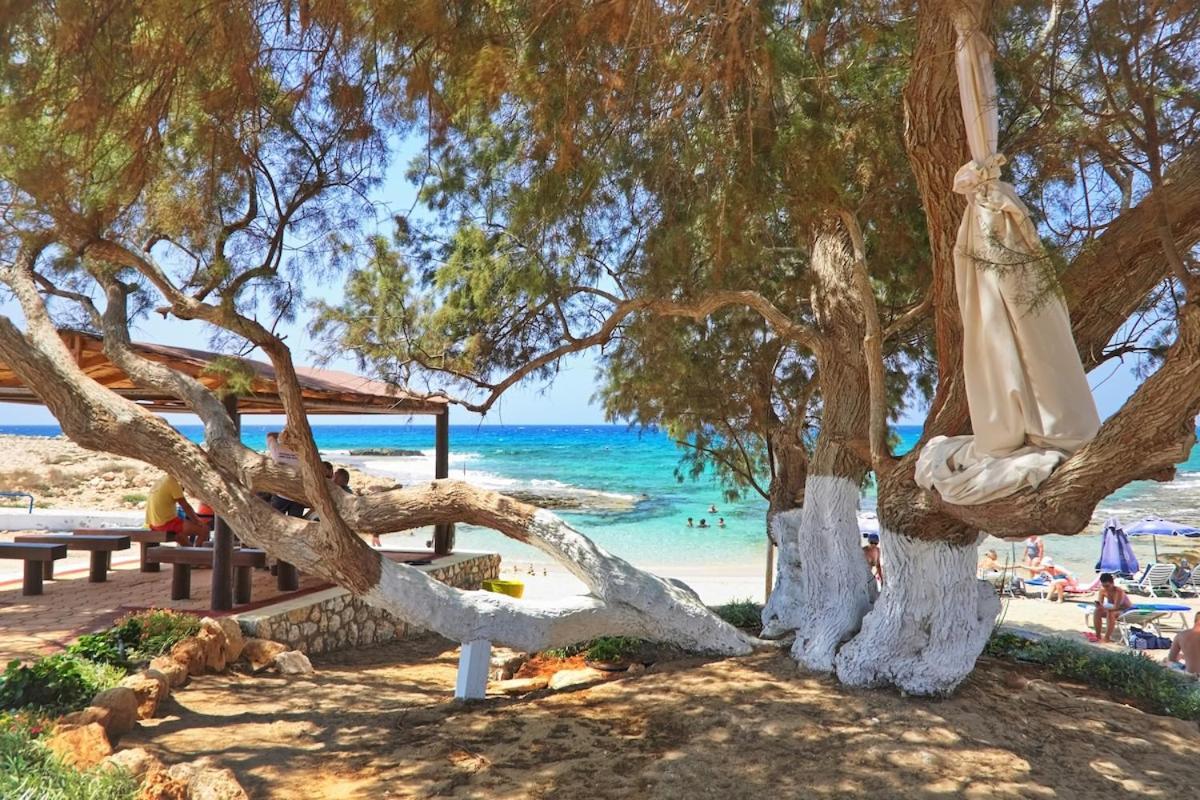 Beachfront Luxury Villa Idania Ayia Napa Exteriör bild